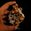 Thomsonite Rare Find with Stilbite Natural Mineral Specimen # B 5880