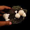Thomsonite Rare Found in late 1990s Natural Mineral Specimen # B 6646