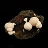Thomsonite Rare Found in late 1990s Natural Mineral Specimen # B 6646