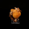Thomsonite Yellow Colour Rare Find Natural Mineral Specimen # B 6351