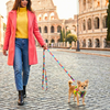 EcoBark Step In Dog Harness - XXXS to Small Breeds- Reflective Soft Mesh Harness for Teacup, Small Dogs and Puppies / Tie-dye