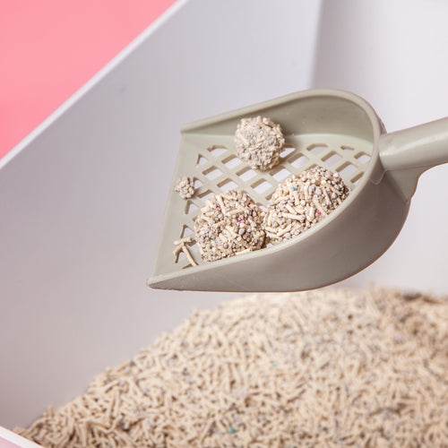 Touchcat 'Litter-ally Natural' Absorbant and Clumping Cat Litter w/ New Technology - Natural Flavor