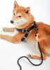 Touchdog ® 'Macaron' 2-in-1 Durable Nylon Dog Harness and Leash