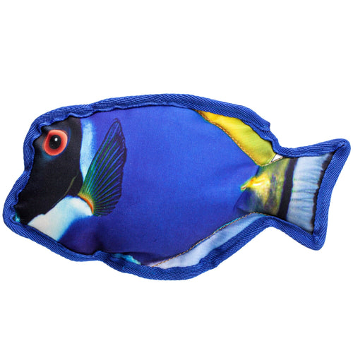 10 Tropical Blue Tang Dog Fish Toy