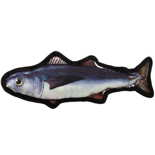 12 Tropical Trout Dog Fish Toy