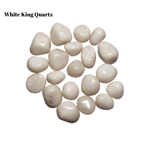 Tumble Variety Pack Deal - 20lbs