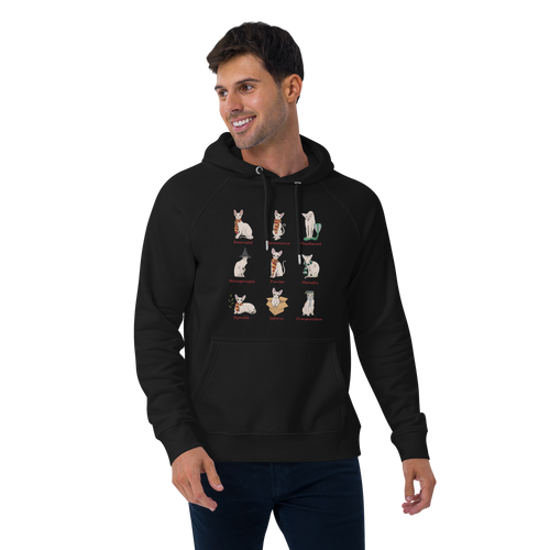 HARRY POTTER SPHYNX UNISEX HOODIE