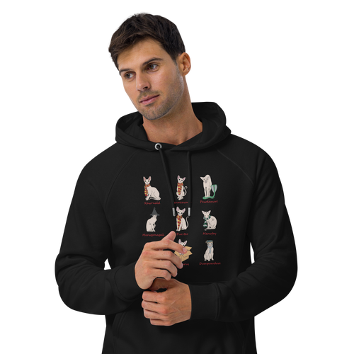 HARRY POTTER SPHYNX UNISEX HOODIE