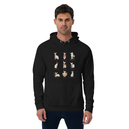 HARRY POTTER SPHYNX UNISEX HOODIE