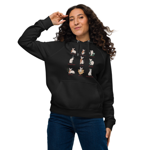 HARRY POTTER SPHYNX UNISEX ECO HOODIE