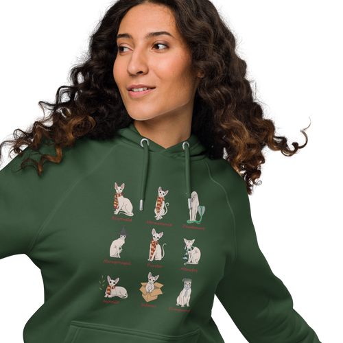 HARRY POTTER SPHYNX UNISEX ECO HOODIE