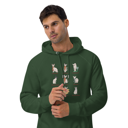 HARRY POTTER SPHYNX UNISEX HOODIE
