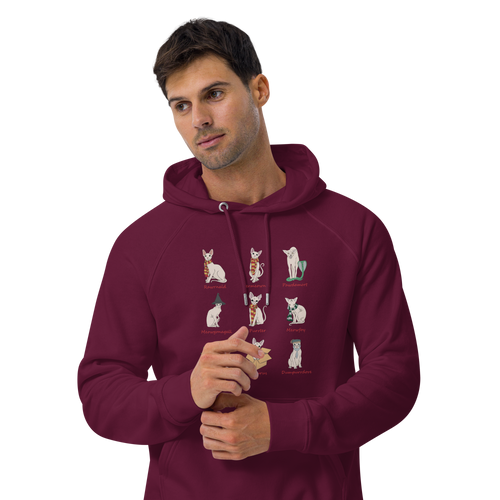 HARRY POTTER SPHYNX UNISEX HOODIE