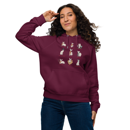 HARRY POTTER SPHYNX UNISEX ECO HOODIE