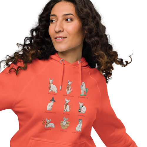 HARRY POTTER SPHYNX UNISEX ECO HOODIE