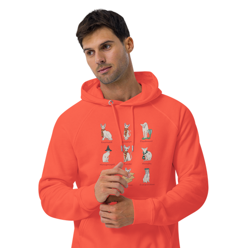 HARRY POTTER SPHYNX UNISEX HOODIE