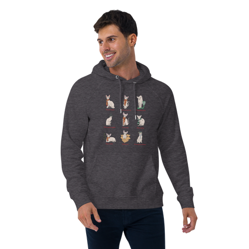 HARRY POTTER SPHYNX UNISEX HOODIE
