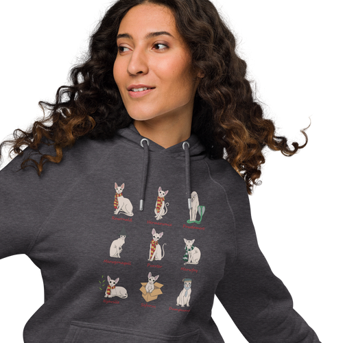 HARRY POTTER SPHYNX UNISEX ECO HOODIE