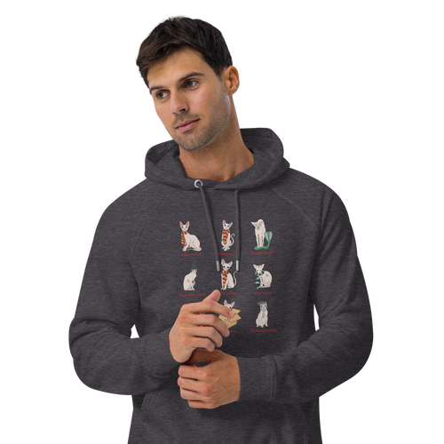 HARRY POTTER SPHYNX UNISEX HOODIE