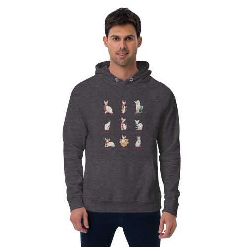HARRY POTTER SPHYNX UNISEX HOODIE
