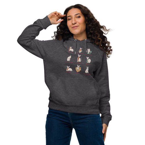 HARRY POTTER SPHYNX UNISEX ECO HOODIE