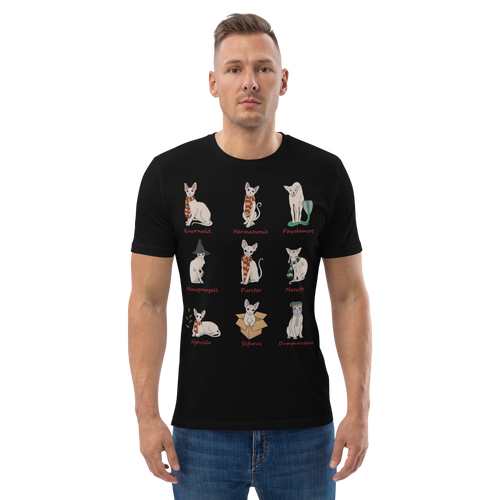 HARRY POTTER SPHYNX UNISEX ECO TEE