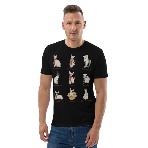 HARRY POTTER SPHYNX UNISEX ECO TEE