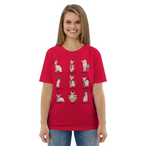 HARRY POTTER SPHYNX UNISEX ECO TEE
