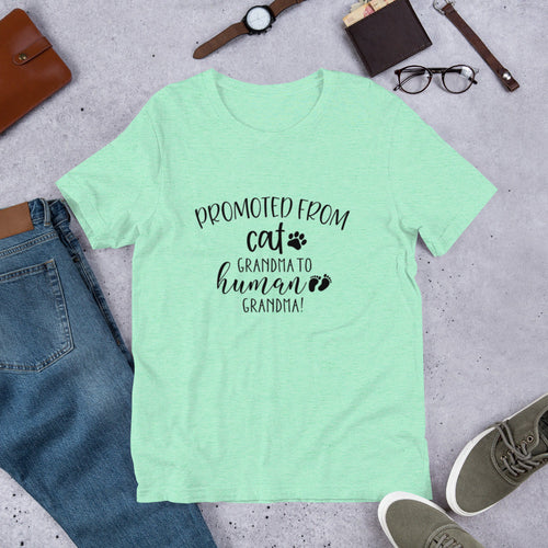 Promoted from Cat Grandma to Human Grandma T-Shirt