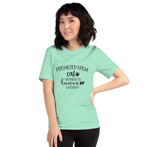 Promoted from Cat Grandma to Human Grandma T-Shirt