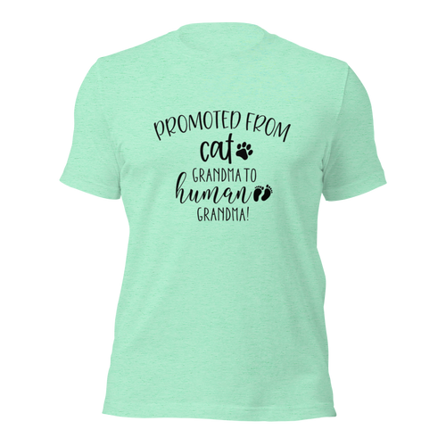 Promoted from Cat Grandma to Human Grandma T-Shirt