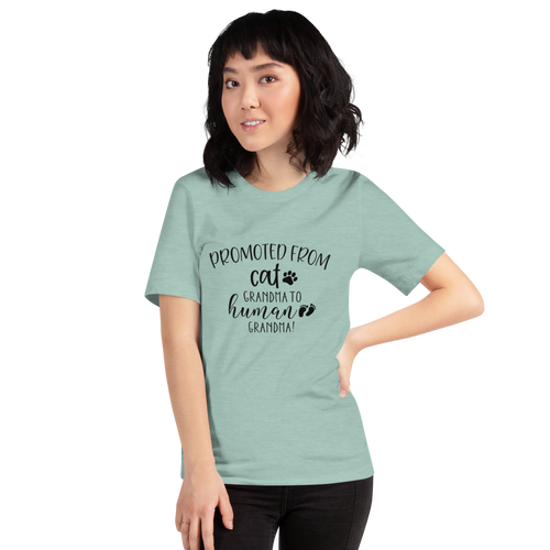 Promoted from Cat Grandma to Human Grandma T-Shirt