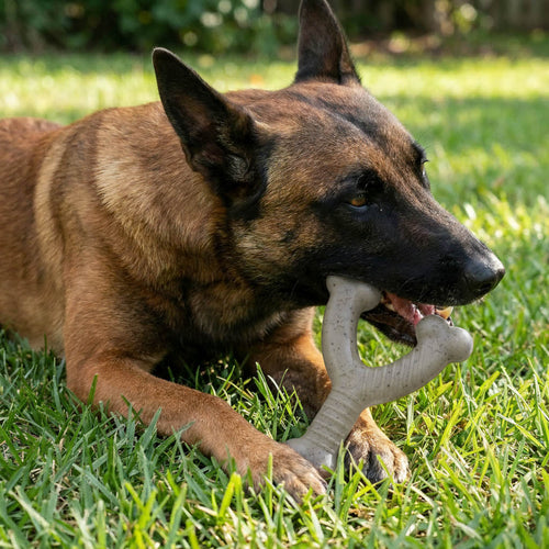 USA-K9 Stars and Stripes Wishbone Nylon Dog Chew Toy for Aggressive Chewers | USA Made