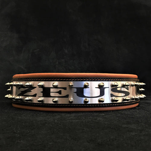 The Metal collar- personalized!
