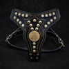 The ''Maximus'' harness V2 Medium Size