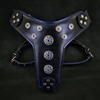 ''Bijou'' harness Black & Blue for big dogs