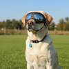 Doggles Dog Goggles Sunglasses