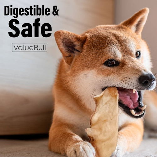 ValueBull USA Collagen Chips Dog Chews, Natural Long-Lasting Dog Treats, 25 Count