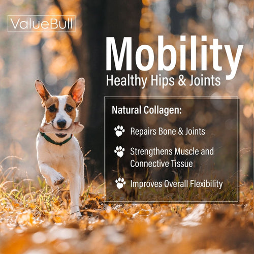 ValueBull USA Collagen Chips Dog Chews, Natural Long-Lasting Dog Treats, 25 Count