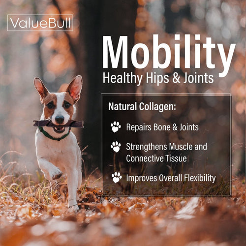 ValueBull USA Collagen Dog Chews, Fun Shapes Variety Mix, Natural Long-Lasting Dog Treats, 10 Pound Bulk Pack