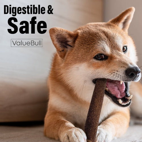 ValueBull Collagen Sticks for Dogs, 6 Inch Medium Chews, Natural Long-Lasting Dog Treats, 200 Count Bulk Pack