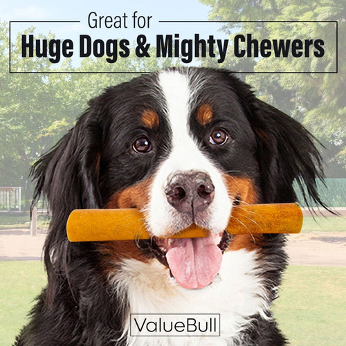 ValueBull Buffalo Collagen Sticks for Dogs, 6 Inch Super Jumbo Chews, Natural Long-Lasting Dog Treats, 100 Count Bulk Pack