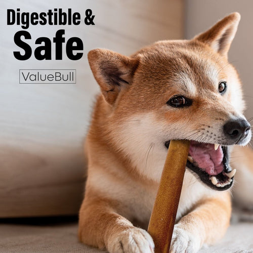 ValueBull Buffalo Collagen Sticks for Dogs, 6 Inch Super Jumbo Chews, Natural Long-Lasting Dog Treats, 100 Count Bulk Pack