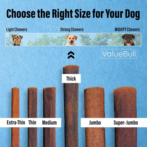 ValueBull Collagen Sticks for Dogs, 6 Inch Thick Chews, Natural Long-Lasting Dog Treats, 100 Count Bulk Pack