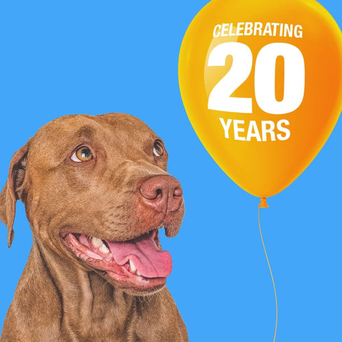 ValueBull USA Retriever Rolls, Premium Thick Cut Rawhide, Thick 9-10 Inch, Smoked, 200 Count Bulk Pack