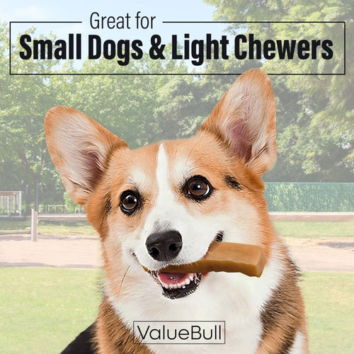 ValueBull Himalayan Yak Cheese Dog Chews, Small, 20 lb Bulk Pack