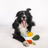 Organic Veggie Toys Bundle