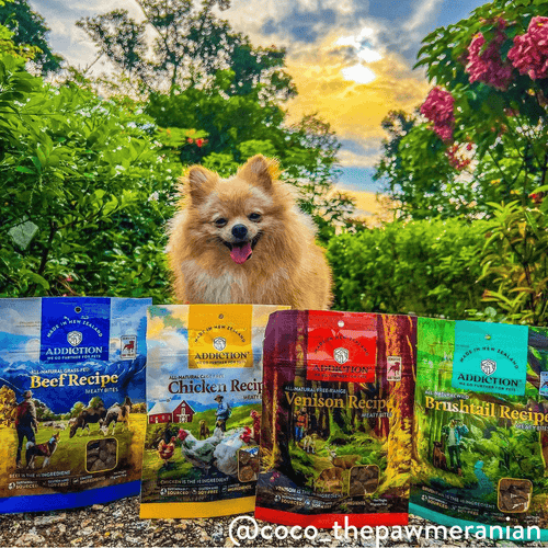 Venison Meaty Bites - Hypoallergenic Dog Treats