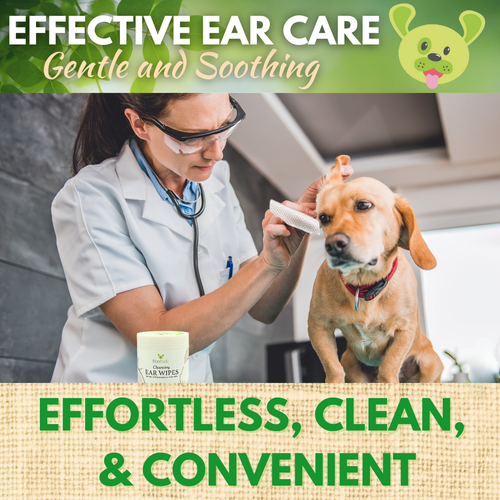 Natural Dog Ear Cleaning Wipes | EcoBark Coconut Finger Wipes (50 Count)