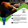 Final Rinse Poultry Vinegar for Show Chickens, 16 oz